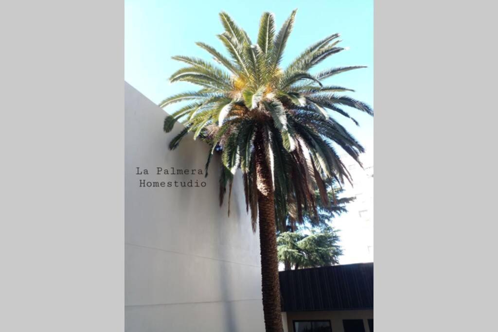 La Palmera Homestudio. Hermoso Apartamento En El Corazon De Palermo Hollywood Buenos Aires Ngoại thất bức ảnh